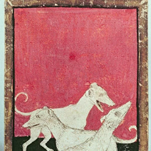 Three hunting dogs, one of a set of playing cards depicting scenes of courtly hawking