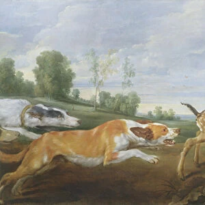 A hunting scene: dogs chasing two fauns (oil on canvas)