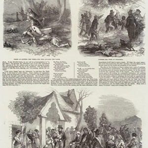 "Hunting the Wren, "at Christmas (engraving)