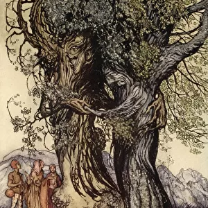 "I am old Philemon!"murmured the oak, illustration from