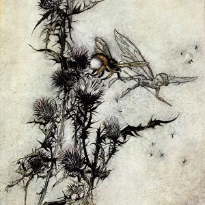 Illustration by Arthur RACKHAM (1867-1939) for The Dream of a Summer Night by William