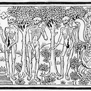 Illustration from the Danse Macabre, published Paris, 1485 (woodcut) (b / w photo)