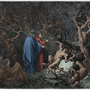 Inferno, Canto 13 : The suicides in the forest, illustration from