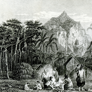 Interior of Pitcairn Island, 1831 (engraving) (b / w photo)