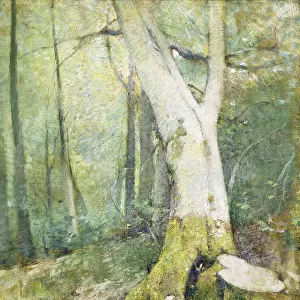 Interior Woodland, (oil on canvas)