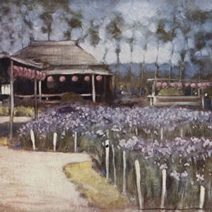 Iris Garden (colour litho)