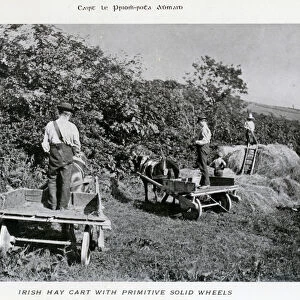 Irish Hay Cart with Primitive Solid Wheels (b / w photo)