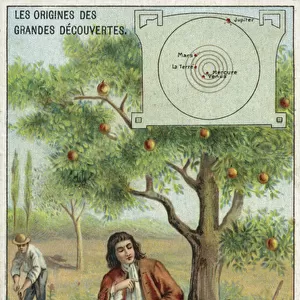 Isaac Newton and gravity (chromolitho)