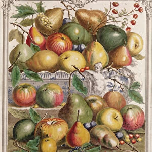 January, from Twelve Months of Fruits, by Robert Furber (c