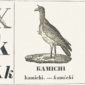 K for Kamichi, 1850 (engraving)