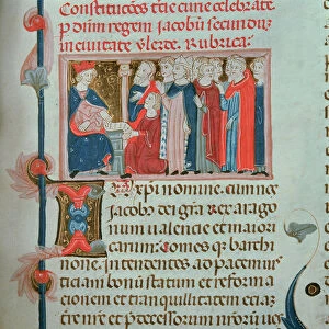 King James II (1264-1327) approving the constitution agreed at the court of Lleida in 1301, from the customs and memories of Pere Albert, 14th century (vellum)
