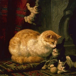 Kittens at Play (oil on panel)