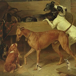 Krugers Dogs, 1855 (oil on canvas)