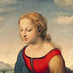 La Belle Jardiniere, 1507 (oil on panel) (detail of 8546)