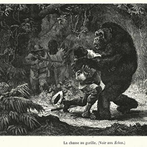 La chasse au gorille (engraving)