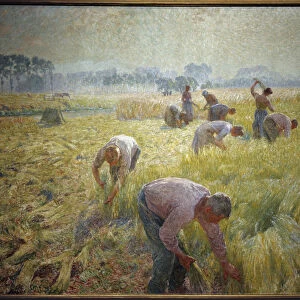 La collolte du linen Painting by Emile Claus (1849-1924) 1904 Sun