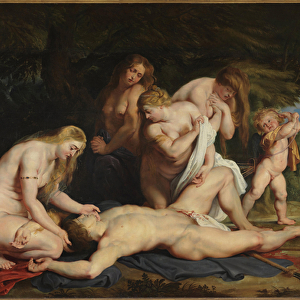 La mort d Adonis (le deuil de Venus) - The Death of Adonis (Venus Mourning Adonis)