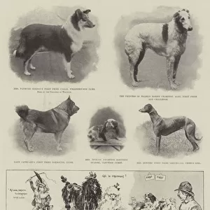 At the Ladies Kennel Association Show in the Royal Botanic Gardens, Regents Park (litho)