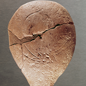 Lamp decorated with an ibex, from the Dordogne, c. 12000 BC (stone)