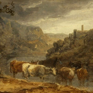 Landscape with Cattle (oil on paper)