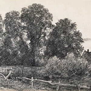 Landscape with Elm Tress and a House (graphite on paper)