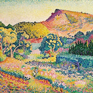 Landscape with Le Cap Negre; Paysage avec le cap Negre, 1906 (oil on canvas)