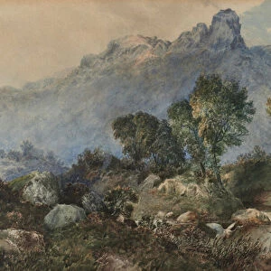 Landscape with mallard ducks, 1874 (Watercolour)