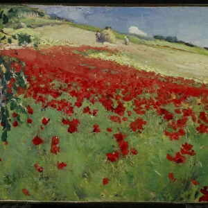 Landscape with Poppies, 1887 (oil on canvas)