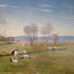 Landscape with sheep, 1898 (oil on canvas)