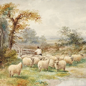Landscape and Sheep (w / c on paper)