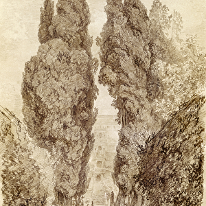 Large Cypresses at the Villa d Este (red chalk on paper)