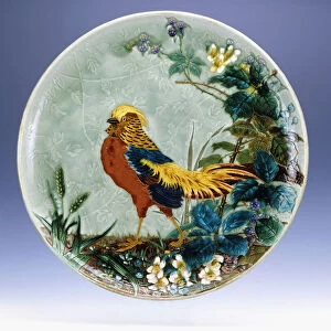 A large Emile Diffloth glazed earthenware charger, depicting a Golden Pheasant