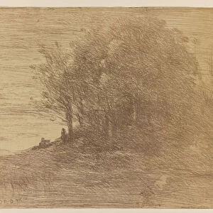Le Bois de L Ermite, 1858 (cliche-verre in bistre-brown on wove paper)