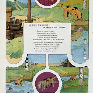 Le chien qui ache pour l ombre - in "Les fables de La Fontaine"by Benjamin Rabier (1864-1939)