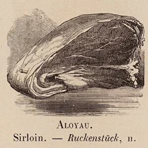 Le Vocabulaire Illustre: Aloyau; Sirloin; Ruckenstuck (engraving)