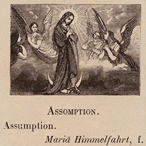 Le Vocabulaire Illustre: Assomption; Assumption; Maria Himmelfahrt (engraving)