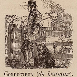 Le Vocabulaire Illustre: Conducteur (de bestiaux); Drover; Viehtreiber (engraving)