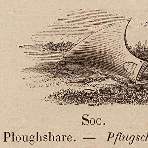 Le Vocabulaire Illustre: Soc; Ploughshare; Pflugschar (engraving)