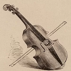 Le Vocabulaire Illustre: Violoncelle; Violoncello; Violoncell (engraving)