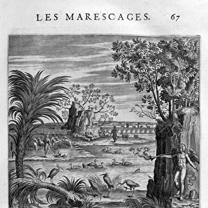 Les Marecages (The swamplands), 1615 (engraving)