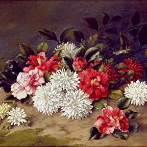 Still life of Chrysanthemums and Camelias, 1883 (oil on canvas)