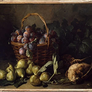 Still Life, Figs and Plums Painting by Francois Desportes (1661-1743) 18th century Paris