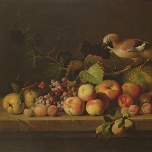 Still Life with Fruit, a Jay and a Parrot (oil on canvas)