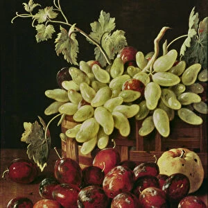 Still life with grapes, apple and plums (oil on canvas)