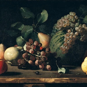 Still Life with Grapes and Pomegranate (oil on canvas)