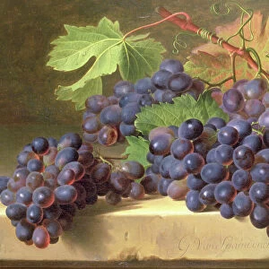 A Still Life of Grapes Resting on a Marble Ledge