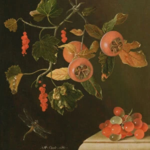 Still Life of Medlars, Redcurrants, Grapes and a Dragonfly, 1686