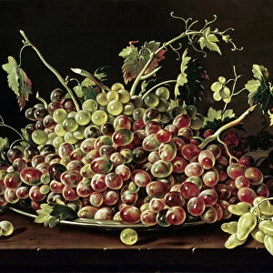 Still Life with a plate of grapes (oil on canvas)
