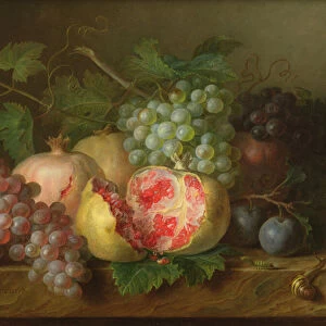 Still life of pomegranates, grapes and plums on a marble ledge (panel)