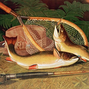 Still Life with a Salmon Trout, a Rod and a Net